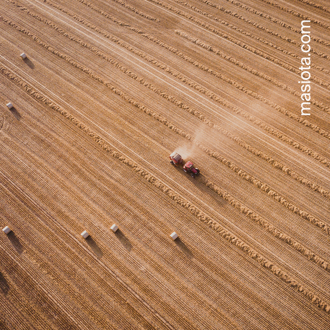 Agrobiznes